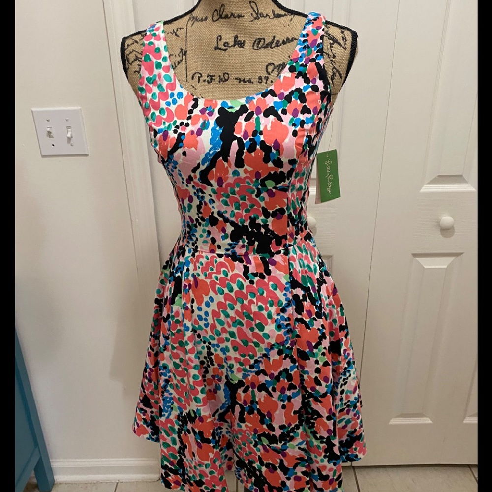 Lilly Pulitzer Gosling Dress